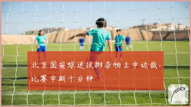 北京国安球迷投掷杂物击中边裁，比赛中断十分钟