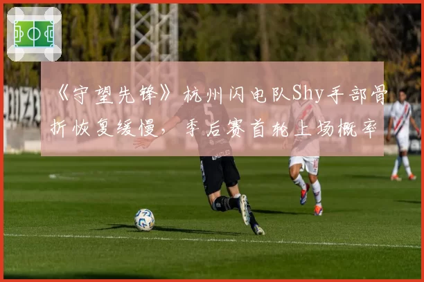 《守望先锋》杭州闪电队Shy手部骨折恢复缓慢，季后赛首轮上场概率仅30%