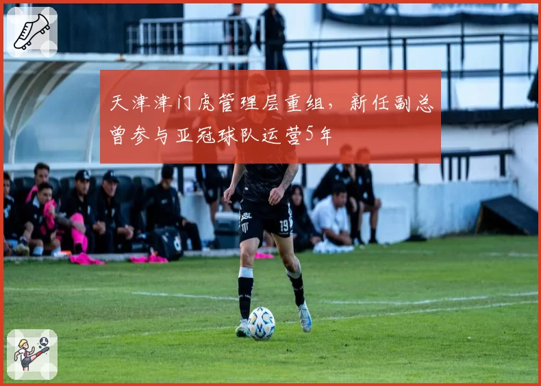 天津津门虎管理层重组,新任副总曾参与亚冠球队运营5年
