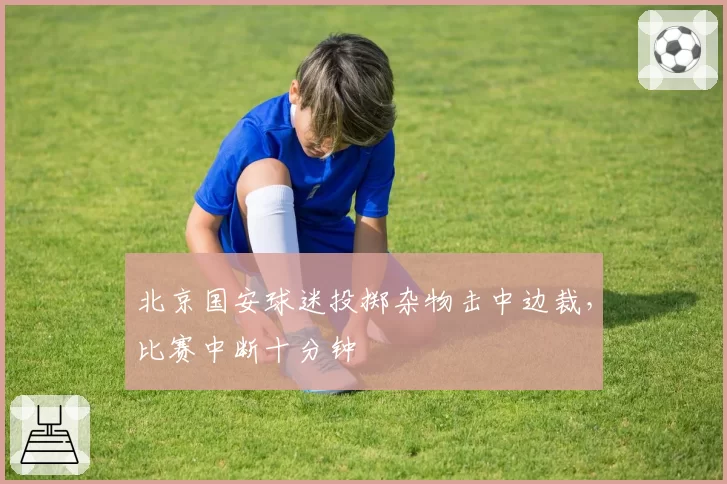 北京国安球迷投掷杂物击中边裁，比赛中断十分钟