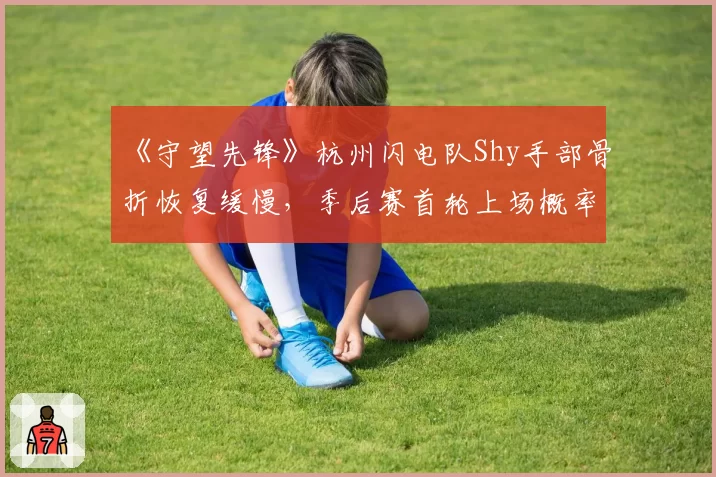 《守望先锋》杭州闪电队Shy手部骨折恢复缓慢，季后赛首轮上场概率仅30%